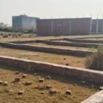 whatsapp image 2025 12 04 at 3.35.00 pm