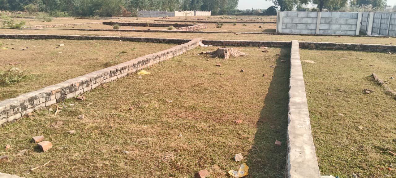 whatsapp image 2025 12 04 at 3.35.02 pm